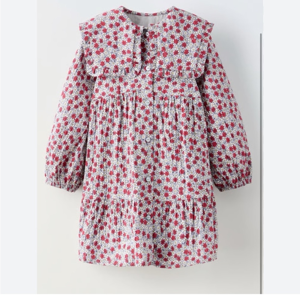 Zara Girl’s Long Sleeve Floral Button Up Dress Peter Pan Collar